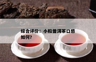 综合评价：小粒普洱茶口感如何？