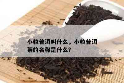 小粒普洱叫什么，小粒普洱茶的名称是什么？