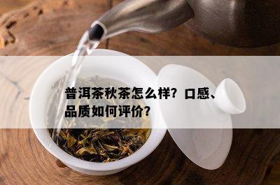 普洱茶秋茶怎么样？口感、品质如何评价？