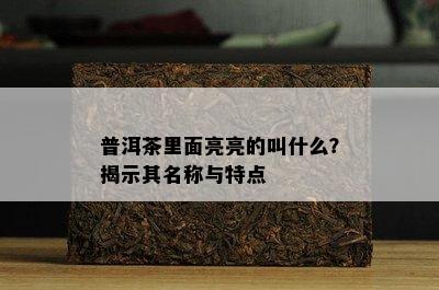 普洱茶里面亮亮的叫什么？揭示其名称与特点