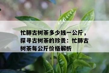 忙肺古树茶多少钱一公斤，探寻古树茶的珍贵：忙肺古树茶每公斤价格解析