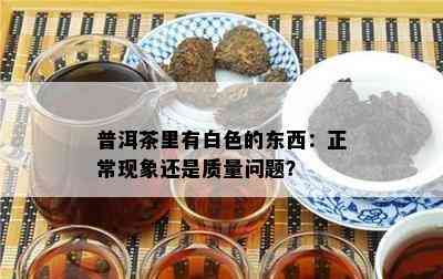 普洱茶里有白色的东西：正常现象还是品质疑问？