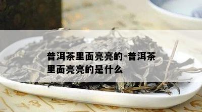 普洱茶里面亮亮的-普洱茶里面亮亮的是什么