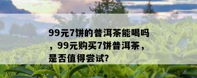 99元7饼的普洱茶能喝吗，99元购买7饼普洱茶，是否值得尝试？