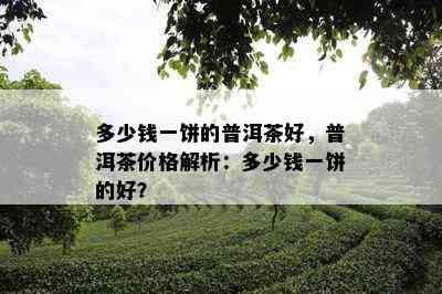 多少钱一饼的普洱茶好，普洱茶价格解析：多少钱一饼的好？