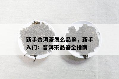 新手普洱茶怎么品鉴，新手入门：普洱茶品鉴全指南