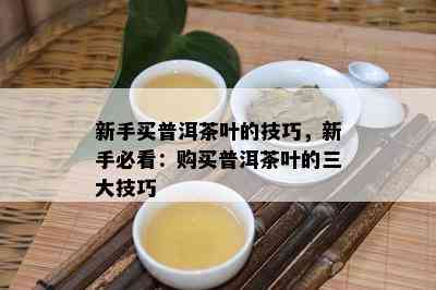 新手买普洱茶叶的技巧，新手必看：购买普洱茶叶的三大技巧