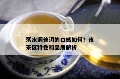 落水洞普洱的口感怎样？该茶区特性和品质解析