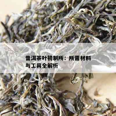 普洱茶叶初制所：所需材料与工具全解析