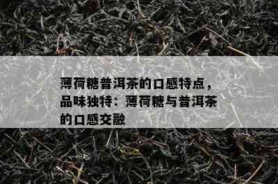 薄荷糖普洱茶的口感特点，品味特别：薄荷糖与普洱茶的口感交融