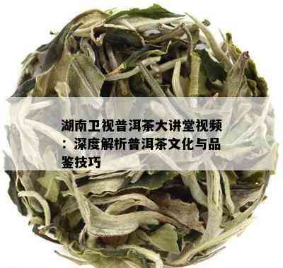 湖南卫视普洱茶大讲堂视频：深度解析普洱茶文化与品鉴技巧