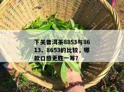 下关普洱茶8853与8613、8653的比较，哪款口感更胜一筹？