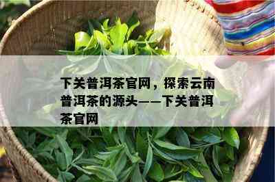 下关普洱茶官网，探索云南普洱茶的源头——下关普洱茶官网