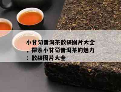 小甘菊普洱茶散装图片大全，探索小甘菊普洱茶的魅力：散装图片大全