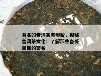 著名的普洱茶有哪些，探秘普洱茶文化：了解那些备受瞩目的著名