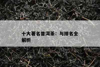 十大著名普洱茶：与排名全解析