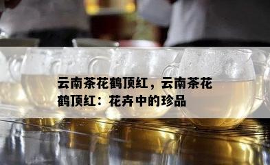 云南茶花鹤顶红，云南茶花鹤顶红：花卉中的珍品