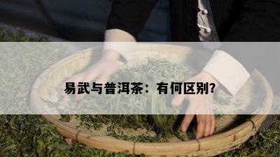 易武与普洱茶：有何区别？