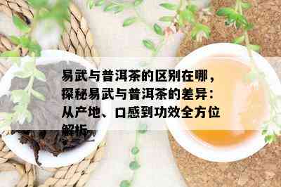 易武与普洱茶的区别在哪，探秘易武与普洱茶的差异：从产地、口感到功效全方位解析