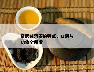 易武普洱茶的特点、口感与功效全解析