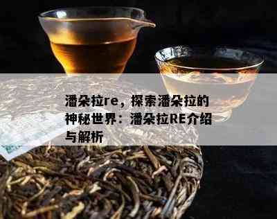 潘朵拉re，探索潘朵拉的神秘世界：潘朵拉RE介绍与解析