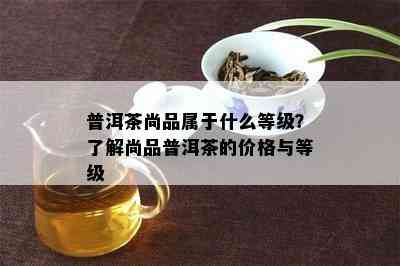 普洱茶尚品属于什么等级？熟悉尚品普洱茶的价格与等级