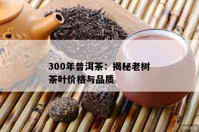 300年普洱茶：揭秘老树茶叶价格与品质