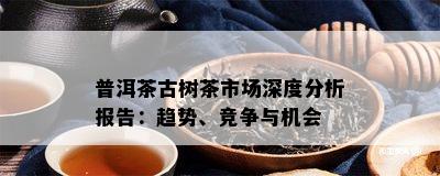 普洱茶古树茶市场深度分析报告：趋势、竞争与机会