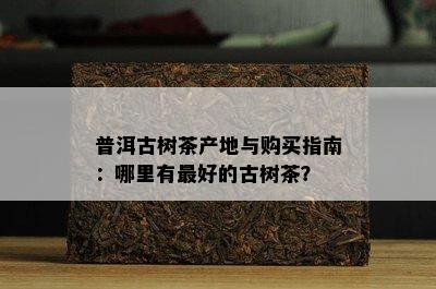 普洱古树茶产地与购买指南：哪里有更好的古树茶？