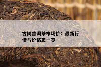 古树普洱茶市场价：最新行情与价格表一览