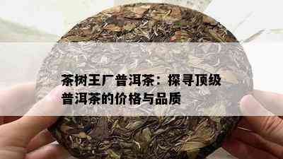 茶树王厂普洱茶：探寻顶级普洱茶的价格与品质