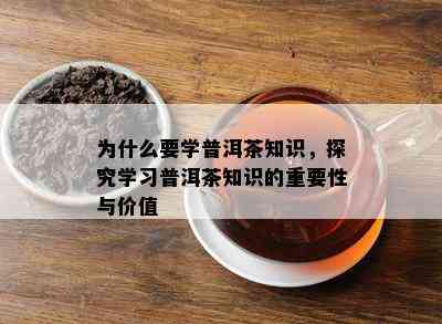 为什么要学普洱茶知识，探究学习普洱茶知识的关键性与价值