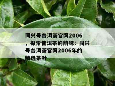 同兴号普洱茶官网2006，探索普洱茶的韵味：同兴号普洱茶官网2006年的精选茶叶