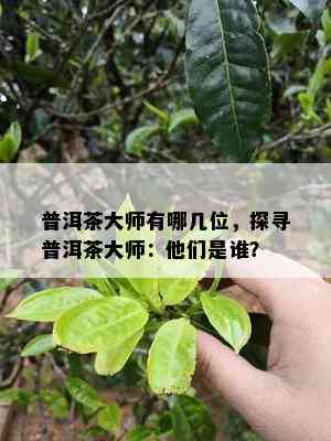 普洱茶大师有哪几位，探寻普洱茶大师：他们是谁？