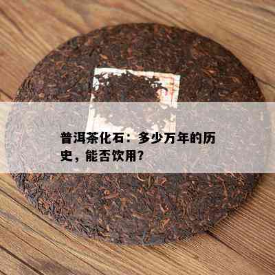 普洱茶化石：多少万年的历史，能否饮用？