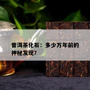 普洱茶化石：多少万年前的神秘发现？