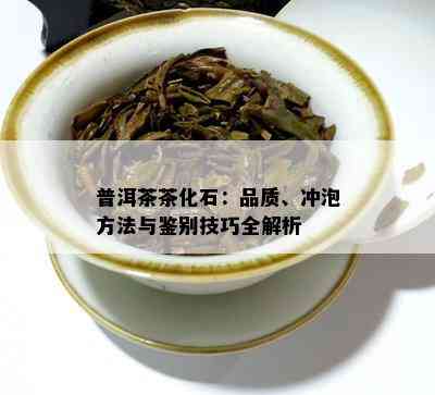 普洱茶茶化石：品质、冲泡方法与鉴别技巧全解析