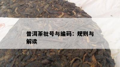 普洱茶批号与编码：规则与解读