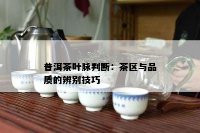 普洱茶叶脉判断：茶区与品质的辨别技巧