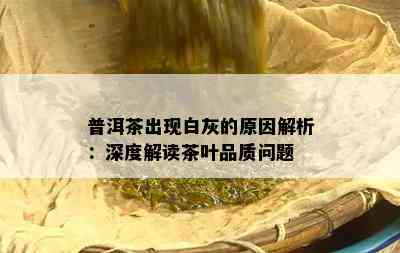 普洱茶出现白灰的起因解析：深度解读茶叶品质疑问