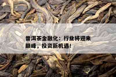 普洱茶金融化：行业将迎来巅峰，投资新机遇！