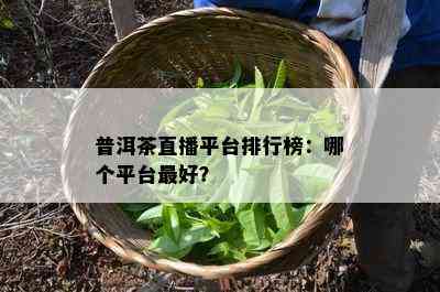 普洱茶直播平台排行榜：哪个平台更好？