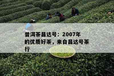 普洱茶昌达号：2007年的优质好茶，来自昌达号茶行