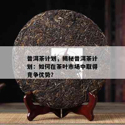 普洱茶计划，揭秘普洱茶计划：如何在茶叶市场中取得竞争优势？