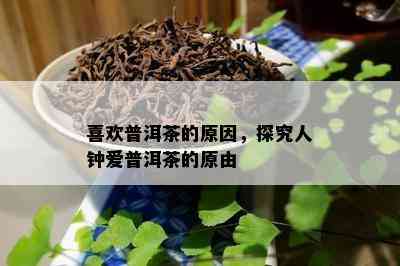 喜欢普洱茶的起因，探究人钟爱普洱茶的原由