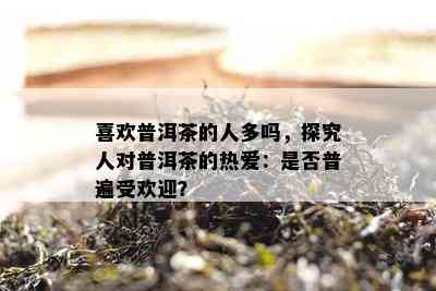 喜欢普洱茶的人多吗，探究人对普洱茶的热爱：是不是普遍受欢迎？