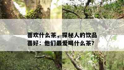 喜欢什么茶，探秘人的饮品喜好：他们更爱喝什么茶？