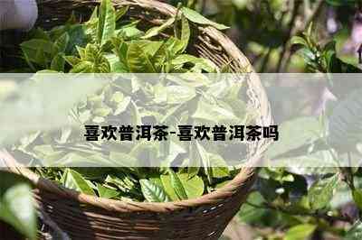 喜欢普洱茶-喜欢普洱茶吗