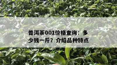 普洱茶001价格查询：多少钱一斤？介绍品种特点