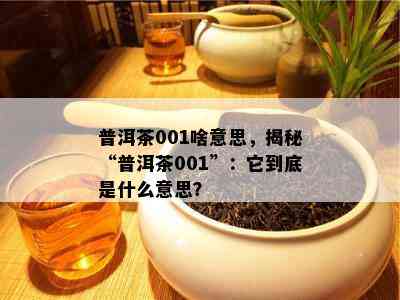 普洱茶001啥意思，揭秘“普洱茶001”：它到底是什么意思？